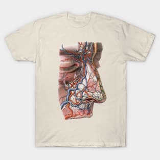 Vintage Human Anatomy Blood Veins T-Shirt